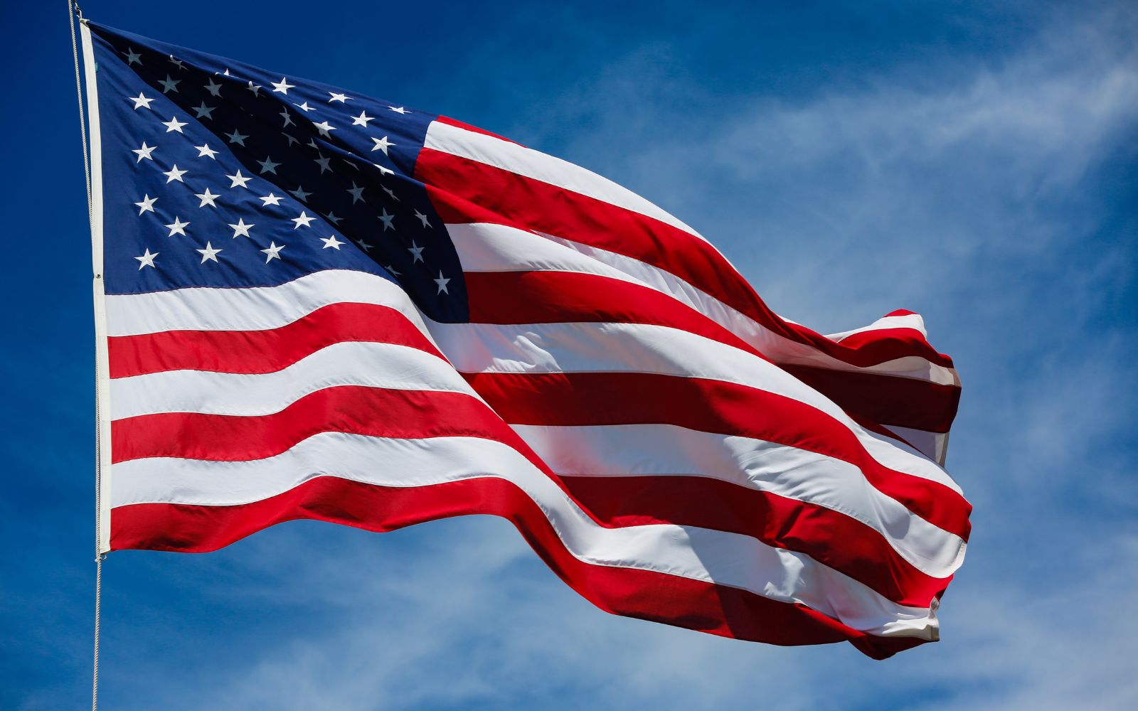 the US flag